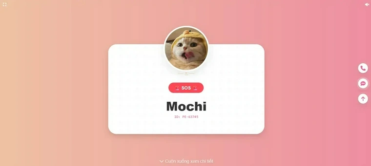 Preview pet-id-card
